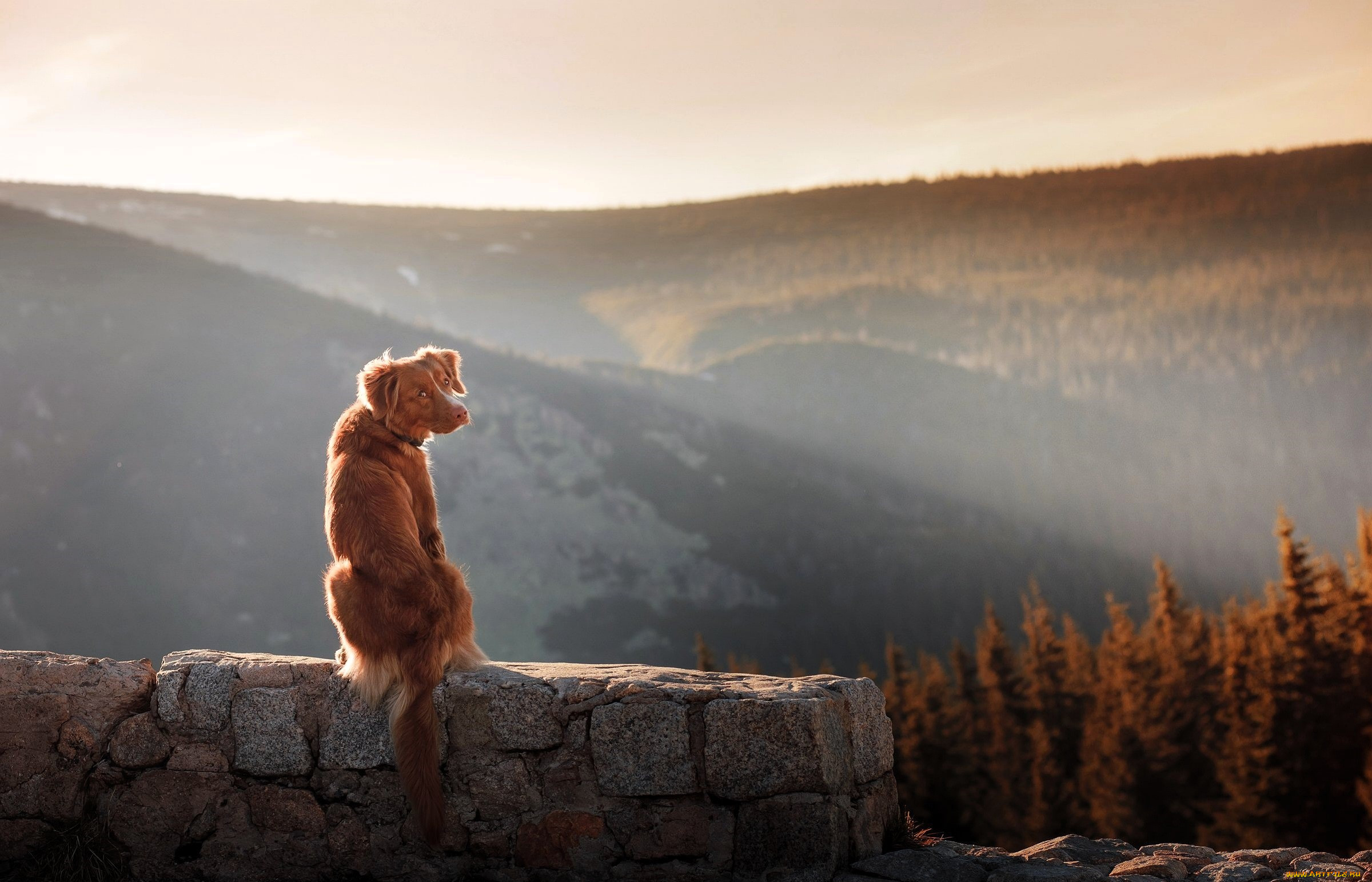 ��������, ������, ������, �����, ����, �����